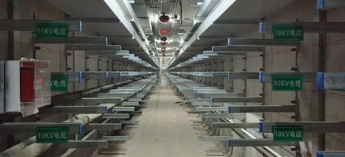 匠心筑精品 闪耀十四运会