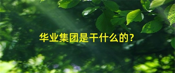 华业集团是干什么的?