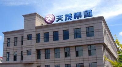 天茂集团的经营业务