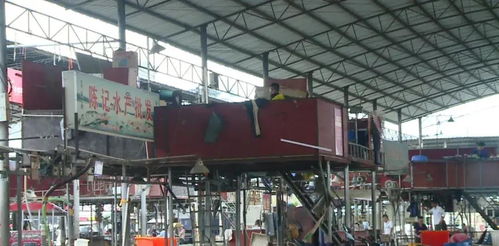 广西一水产批发市场摊位上都搭有个木屋 车间 仓库 宿舍 三合一 引人担忧