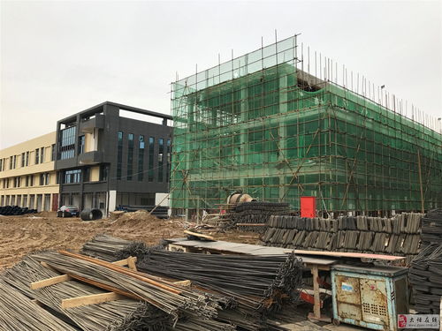 中国供销 大悟农贸批发城2018年2月上旬工程进度实拍