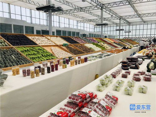 i东营 来自重点工程项目一线的报道蔬菜大棚变身智能工厂