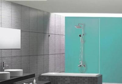 花洒有哪些类型 花洒知名品牌质量哪个好