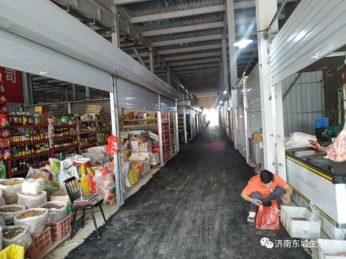 雪山片区西南角新增大型农贸批发市场和旧货市场，7月1日盛大开业